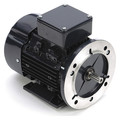 Marathon Motors 3-Phase General Purpose Motor, 1/2 HP, 71 Frame, 230/460V AC Voltage, 1,695 Nameplate RPM 071T17FH5508