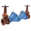 Watts Reduced Pressure Zone Backflow Preventer 6 LF909-DOSY