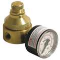 Watts Pressure Regulator, 1/4 In, 0 to 125 psi 1/4 LF560G 0-125