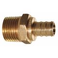 Jones Stephens Brass PEX x Male Adptr, No Lead, 1/2"x1/2" C76034LF