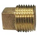 Jones Stephens Bronze Corded Sq. Head Plug, No Lead, 3/4" B74285LF