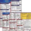 Jj Keller Labor Law Poster, Fed/STA, MD, SP, 20inH, 3yr 200-MD-3