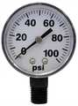 Fimco Pressure Gauge, 0 to 100 psi, 2In, 1/4In 5167007