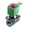 Redhat 120V AC Stainless Steel Solenoid Valve, Normally Closed, 3/4 in Pipe Size EF8210G088