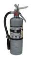 Amerex Fire Extinguisher, 2A:10B:C, Dry Chemical, 5 lb B500TC