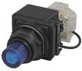 Dayton PilotLight, LED, 24VAC/DC, 30mm, Plastic, BL 30G413