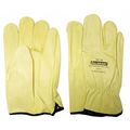 Salisbury Elec. Glove Protector, 8, Cream, PR ILP10/8