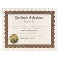 Great Papers Training Stock Certificate, PK6 038967