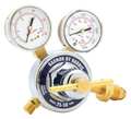 Radnor Gas Regulator, Single Stage, CGA-510, 0 to 50 psi, Use With: Propane RAD64003060