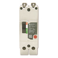 Ge Molded Case Circuit Breaker, TEYD Series 30A, 2 Pole, 277/480V AC TEYD2030B