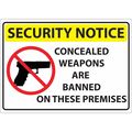 Zing Window Decal, Concled Weapons, 5X7", PK2 1817D