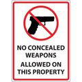 Zing Concealed Carry Sign, 14 in Height, 10 in Width, Plastic, Rectangle, English 2820S