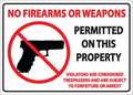 Zing Concealed Carry Sign, 7 in H, 10 in W, Plastic, Vertical Rectangle, English, 1824 1824