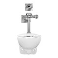 Sloan Flushometer Toilet, 1.28 gpf, Flush Valve, Wall Mount, Elongated 24501301