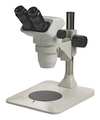 Accu-Scope Microscope, 9-13/32in.H, 12-1/2in.L 3075-PS