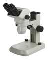 Accu-Scope Microscope, 9-13/32in.H, LED, 15lb. 3075-LED-E