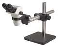 Accu-Scope Microscope, 14-1/2in.Hx10in.Wx, 52lb. 3075-BS