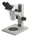 Accu-Scope Microscope, 9-13/32in.Hx11-13/32in.W 3075-PFS