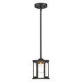 Nuvo Fixture, Mini Pendant, 1 Light, Housing Finish: Midnight Bronze 60-6412