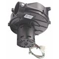 Fasco Draft Inducer, 115, Plastic, 8 13/62 in H. A136