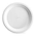 Chinet Plate, Paper, Dinnerware, PK125 CH21227