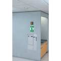 Guardian Equipment Barrier-free Safety Station GBF2160