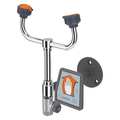 Guardian Equipment Wall-Mounted Eyewash Station G1819