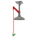 Hughes Safety Showers Drench Shower, Ceiling Mount, Galvanized Pipes 23GV