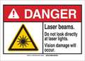 Brady Danger Sign, 7 in H, 10 in W, Plastic, Rectangle, 144540 144540