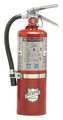 Buckeye Fire Equipment Fire Extinguisher, 40B:C, Dry Chemical, 5.5 lb 13514