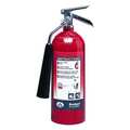 Badger Fire Extinguisher, 5B:C, Carbon Dioxide, 5 lb B5V