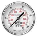 Winters Pressure Gauge, 0 to 100 psi, 1/4 in MNPT, Steel, Black PEM1439LF