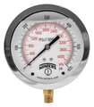 Winters Pressure Gauge, 0 to 600 psi, 1/4 in MNPT, Stainless Steel, Silver PFQ716LF