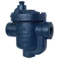 Armstrong International Steam Trap, 150 psi, 400F, 5 In. L 800-075-150