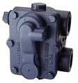 Armstrong International Steam Trap, 75 psi, 377F, 5-1/8 In. L 754A4