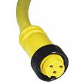 Remke Cordset, Mini-Link Assy, PVC, F, 4 P, 6 ft. 104A0060AP