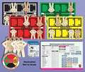 Disaster Management Systems Tabletop MCI, Multi-Casualty Incident DMS 05844
