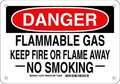 Brady Danger No Smoking Sign, 7" H, 10" W, Rectangle, English, 123707 123707