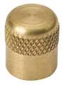 Mueller 1/4" SAE Cap, Brass, 700 psi A 16447