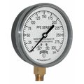 Winters Pressure Gauge, 0 to 300 psi, 1/4 in MNPT, Plastic, Black PFE3933R1