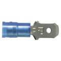 Panduit Male Disconnect, Blue, 16-14AWG, PK100 DNF14-250M-C