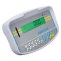 Adam Equipment Weight Indicator Display, Gray, NTEP GKAM