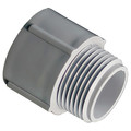 Cantex Male Adapter, 1/2 In Conduit, PVC 5140103