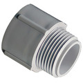 Cantex Male Adapter, 3/4 In Conduit, PVC 5140104