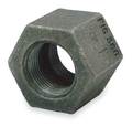 Anvil 1" Female NPT x Female NPT Cast Iron Hex Coupling Class 125 0300147998