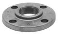 Anvil 6" Flanged x FNPT Cast Iron Threaded Flange, Faced and Drilled Class 125 0308004001