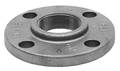 Anvil Flanged x FNPT, Cast Iron Threaded Flange, Faced and Drilled, Class 125 0308002807