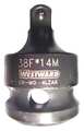 Westward 3/8" Drive Impact Socket Adapter 4LZA6