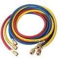 Dayton Manifold Hose Set, 72 In, Red, Yellow, Blue 4PDG4