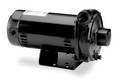 Dayton Cast Iron 3/4 HP Centrifugal Pump 208-230/460V 4RJ73